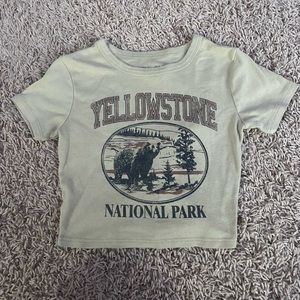 Cute, yellow stone crop top/ baby tee